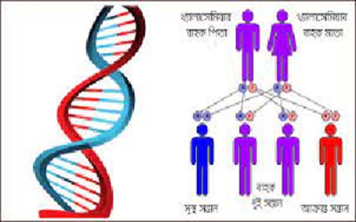 বিশ্ব থ্যালাসেমিয়া দিবস আজ